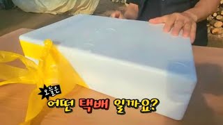 택배 왔어요? 오늘은 김피디 어떤 택배가?