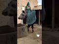 Desi Baddie 🫶 Shorts Viral Cute