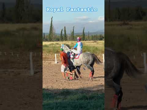 Royal Fantastic se quedó con el clásico en el Jockey Club Villa Dolores Córdoba