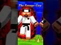 Fleet Smp Members And Their Personality Minecraft Anshu Bisht Shorts