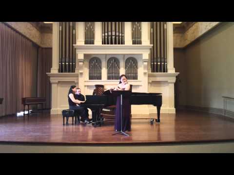 Richard Strauss Sonata Op. 18 1st mvt