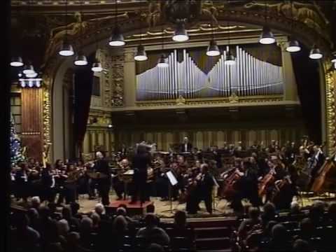 @ionbogdanstefanescu  Kreisler - Libesleid