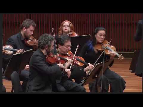 Concerto for Strings