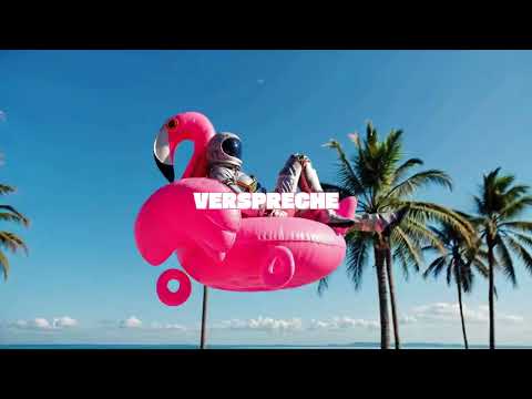 MAKZ 38 x MDB39 x FABE BROWN - INSELFIEBER (LYRIC VIDEO)