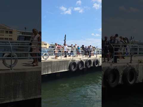 Lanchita de Regla Ka Habana Cuba 2026 #realidadcubana #respect