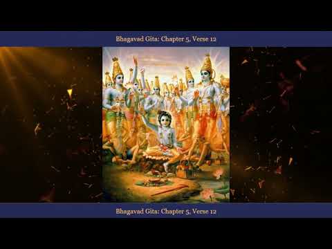 Kapitulli 5 _ Vargu 12