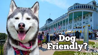 We Took Our Dogs to Mackinac Island! They Rode a FERRY!