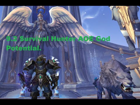 9.2 Survival Hunter looking very promising