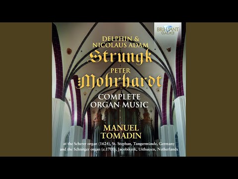 Ecce Maria genuit nobis: II. Secunda pars. Ecce agnus