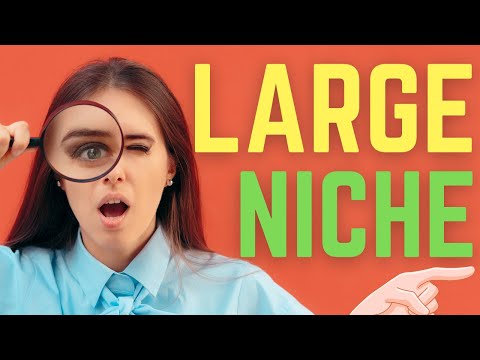 This Amazon KDP Niche is LITERALLY Large