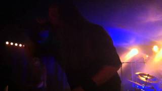 Darkane : Impetuous Constant Chaos - The Rape Of Mankind (Live In Paris)