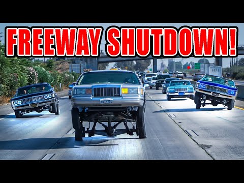 What Are You Lowriding? FREEWAY SHUTDOWN with Orgullo Mexicano cc!