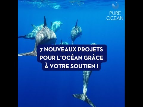 7 nouveaux projets Pure Ocean grâce à votre soutien !