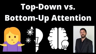 Top Down vs. Bottom Up Attention