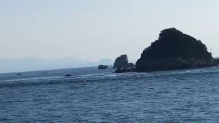 自然の幸を運ぶ保戸島の新月の大潮
