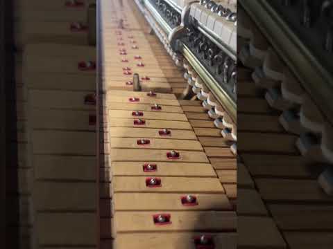 Steinway Model O Showcase