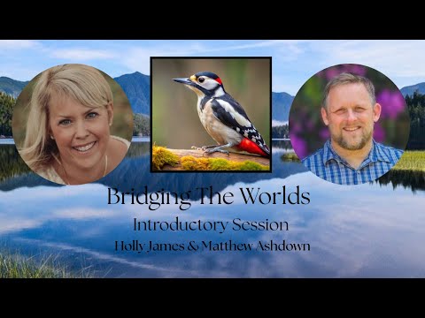 Bridging the Worlds: Introductory Session