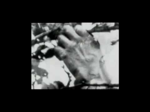 Endvra - Dark Face of Eve