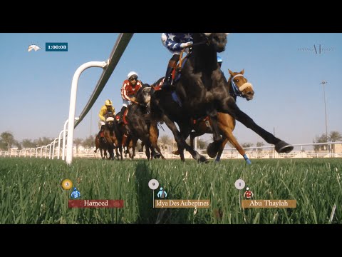 🏇 AMIR SWORD 2022 - Al Shahania Stud