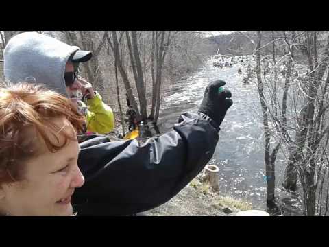 RIVER RAT 2017 ATHOL MA