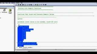 SAS Numeric Functions-1: round, int, truncate