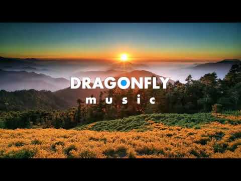 Zeus X Crona & Denis Elezi & Chris Linton - Colours | 1 Hour Version