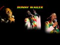 Bunny Wailer - Fighting Against Conviction