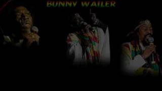 Bunny Wailer - Fighting Against Conviction