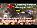 ರಂಭಾಪುರಿ ಪೀಠ ಬಾಳೆಹೊನ್ನೂರು Rambhapuri Peeta Balehonnur 