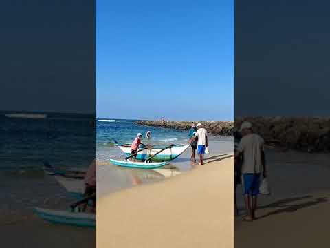 Fishermen's 🚣🐟🐠#travel #love # Sri Lanka # In the great ocean one day. 🚣🦈🦐🦞🦀🦑