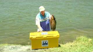 Techniice Best / cooler / ice box / Ice chest / fridge / Chilli bin