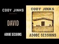 Cody Jinks | "David" | Adobe Sessions