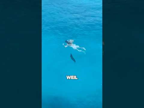 Never jump into the water when you see this 😨 #shorts