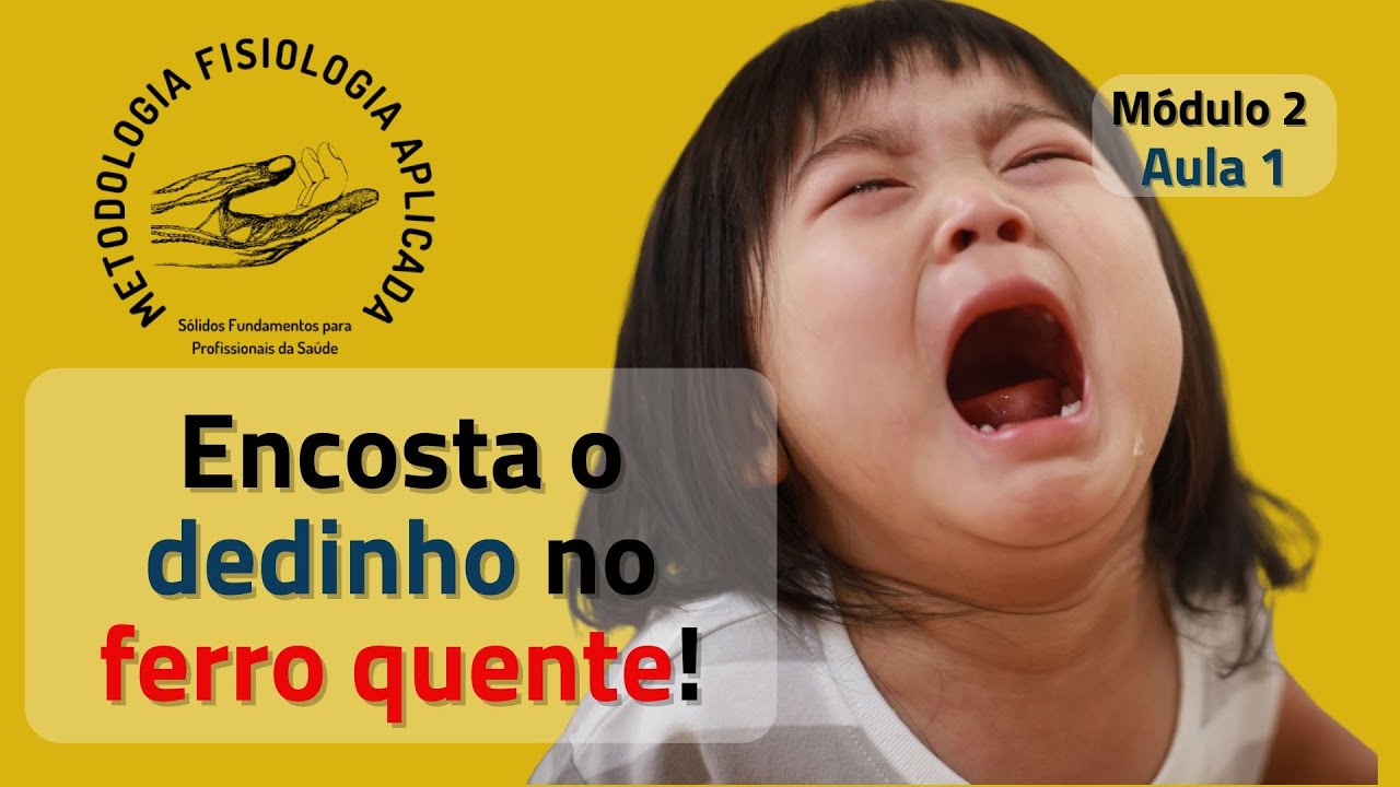 Módulo 2 - Aula 1 - Funções Gerais e Morfologia do Sistema Nervoso