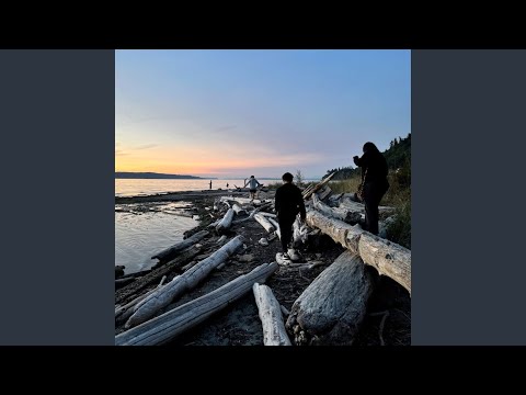 Petrichor - killaura