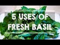 5 Uses Of FRESH BASIL