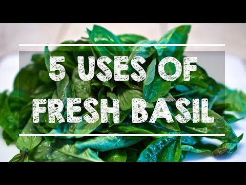 5 uses of fresh basil