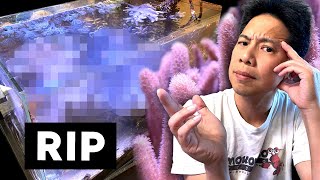 I hate making video like this. [sorry, explicit language]