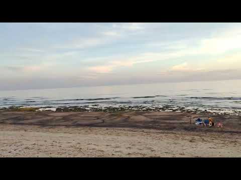 Las Flores, Maldonado