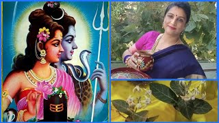 Sindhi Shivratri Video MahaShivRatri Vrit Puja In 
