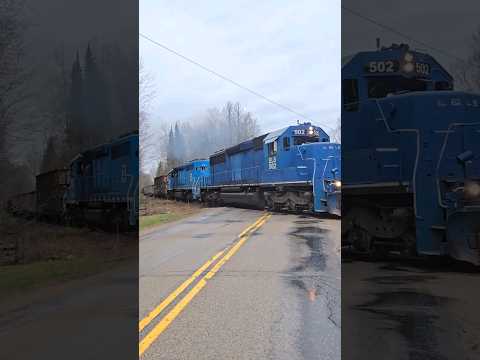 So Many DUMB DRIVERS In Wisconsin Ignore Flashing Railroad Crossings! #trains #trainvideo