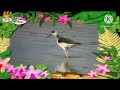 Baby TV The Amazing World Rivers Water