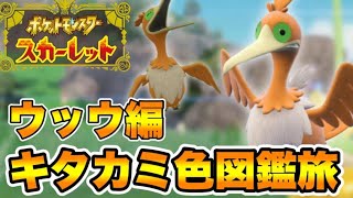 キタカミ色図鑑完成旅　＃３　【ポケモンSV】　【碧の仮面】