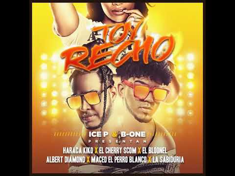 TOY RECHO - ICE P❌ B ONE ❌ EL Cherry Scom ❌ Bloonel ❌ Albert Diamond❌ Haraka ❌ ( AUDIO OFICIAL)
