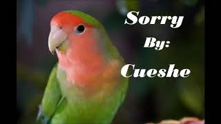 Sorry -  Cueshe