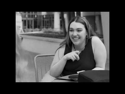 Laptop Thieves