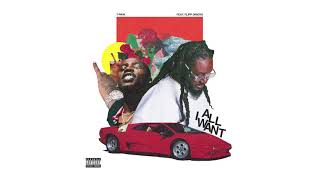 T-Pain - All I Want ft. Flipp Dinero (Official Audio)