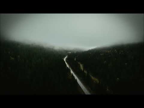 The Void Wanderer feat. Dylbsure - No Time