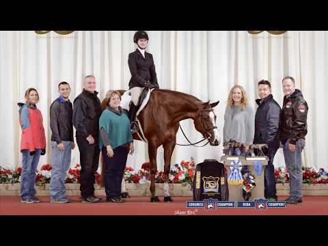 Red Code Review - SOLD