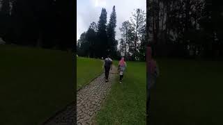 Download lagu Kebun Raya Cibodas mp3